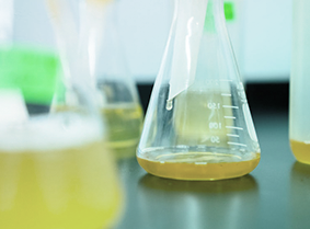 stp-components-laboratories