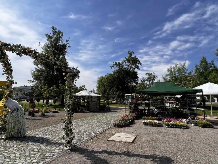 viber_image_2022-06-04_10-08-22-062